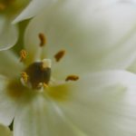 彩8娱乐平台首选指南完善客服体系与高额返水带来稳定体验 57i2r4