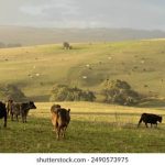 开户即送38体验金,打造零门槛的理财新体验 akqe7hg