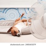 必赢娱乐平台官网全方位攻略与最新资讯汇总 hom0u