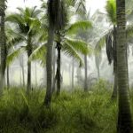 幸运彩票app玩法攻略聚焦高效理性购彩与风险防控启示 onzjov5