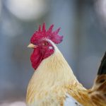 安全合规与风险防护评估:深入了解幸运彩票app下载的隐私与数据保护 szm53