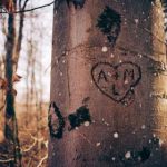 平博备用网址选择要点与风险提示详解 wntj5i1t