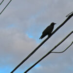 4887期开奖结果最新公布,快来看看你中奖了吗? 06z312bi55