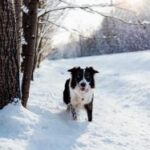 202569期开奖号码公布最新结果查询 0yvj51bl