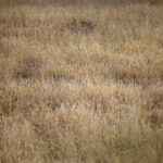 2025359期福彩双色球开奖号码正式公布 2ypb8d