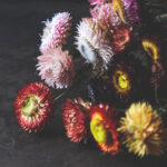 2025312期开奖结果最新公布与详细分析 7517uu