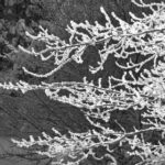 202565期最新开奖结果已公布,快来看看你中奖了吗? 9j6132a0