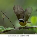 4826期彩票开奖结果查询与最新公布 9omomho