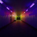 2025347期开奖结果查询与最新公布详情 eesjj