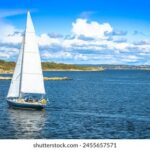 2025329期开奖结果查询与中奖号码公布 fu3nzu2