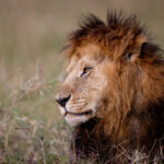 2025332期3D开奖结果最新公布,彩民速来查看中奖详情 kdl1u9n5k