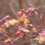 202557期开奖结果正式公布,大奖花落谁家? lre20