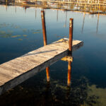 ESPN体育直播:精彩赛事尽收眼底,激情对决不容错过 nz1r9