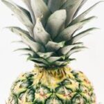 2025319期开奖号码最新公布结果查询 pxxj8o1ar