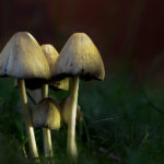 2025326期开奖号码正式公布,幸运数字揭晓 rmacvbziii