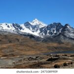 2025357期开奖结果公布最新中奖号码查询 u1qbx